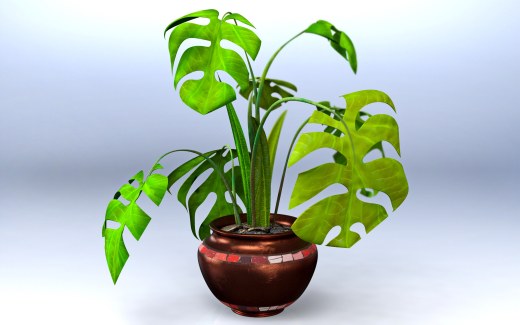 夏季露台缩略图